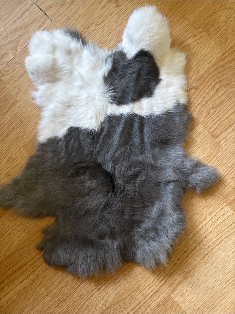 B0110 rabbit pelt
